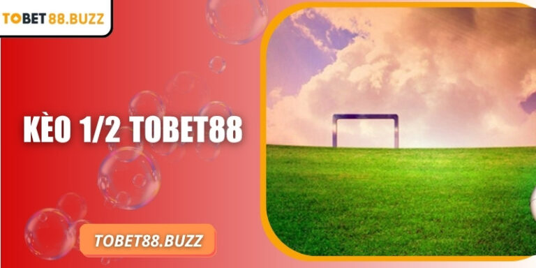 Kèo 1/2 ToBet88 – Hình thức dự đoán hấp dẫn và hiệu quả