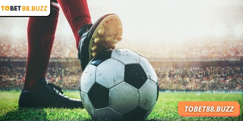 Kèo 1x2 ToBet88 là một lựa chọn phổ biến cho người mới