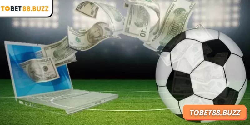 Theo dõi trận đấu để học hỏi kinh nghiệm, điều chỉnh dự đoán