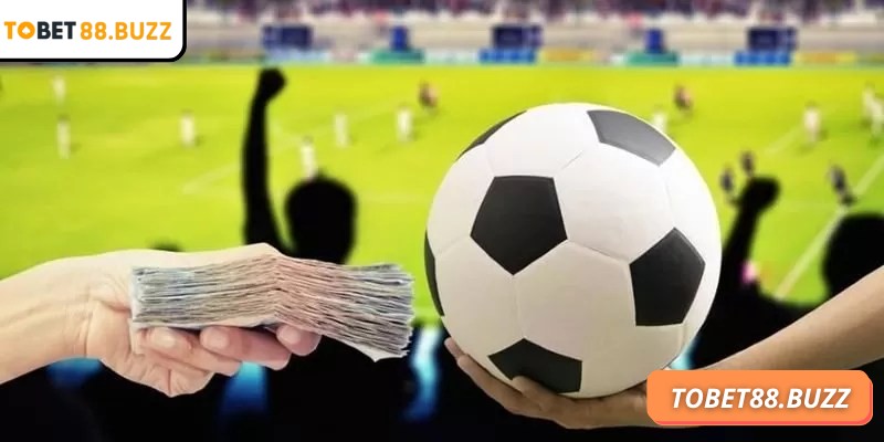 Hiểu rõ kèo handicap ToBet88 và bí quyết dự đoán hiệu quả 2 Phạm vi áp dụng rộng giúp người tham gia có thêm nhiều trải nghiệm