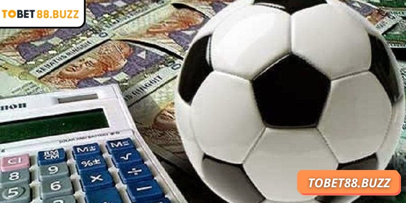 Cập nhật và đối chiếu số liệu sẽ giúp điều chỉnh chiến lược hợp lý hơn