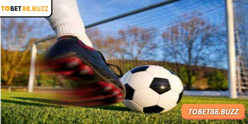 Kèo sớm ToBet88 đem lại tỷ suất hoàn vốn tốt hơn